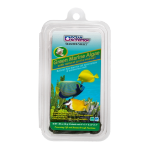 Ocean Nutrition Seaweed Green Marine Algae