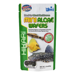 Hikari Mini Algae Wafers
