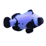 Clownfish - Ocellaris - Phantom