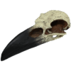 Raven Skull - Large 8 in